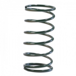 Pružina do wastegate Tial Sport MV-I 0,414 bar (6psi) - zelená