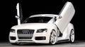 Vertikální otevírání dveří LSD Audi A5 / S5 typ B8 (07-) | High performance parts