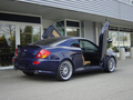 Vertikální otevírání dveří LSD Hyundai Coupe typ GK (03/02-)