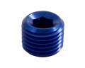 Záslepka 3/4" NPT imbusová